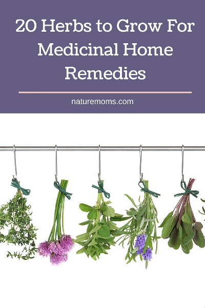 20 Herbs to Grow For Medicinal Home Remedies