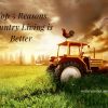 Top 5 Reasons Country Living is Better