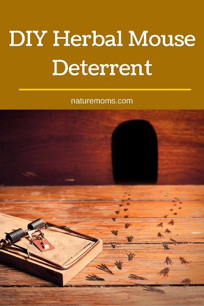 DIY Herbal Mouse Deterrent