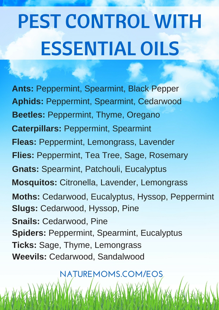 Essential Oil Pest Control