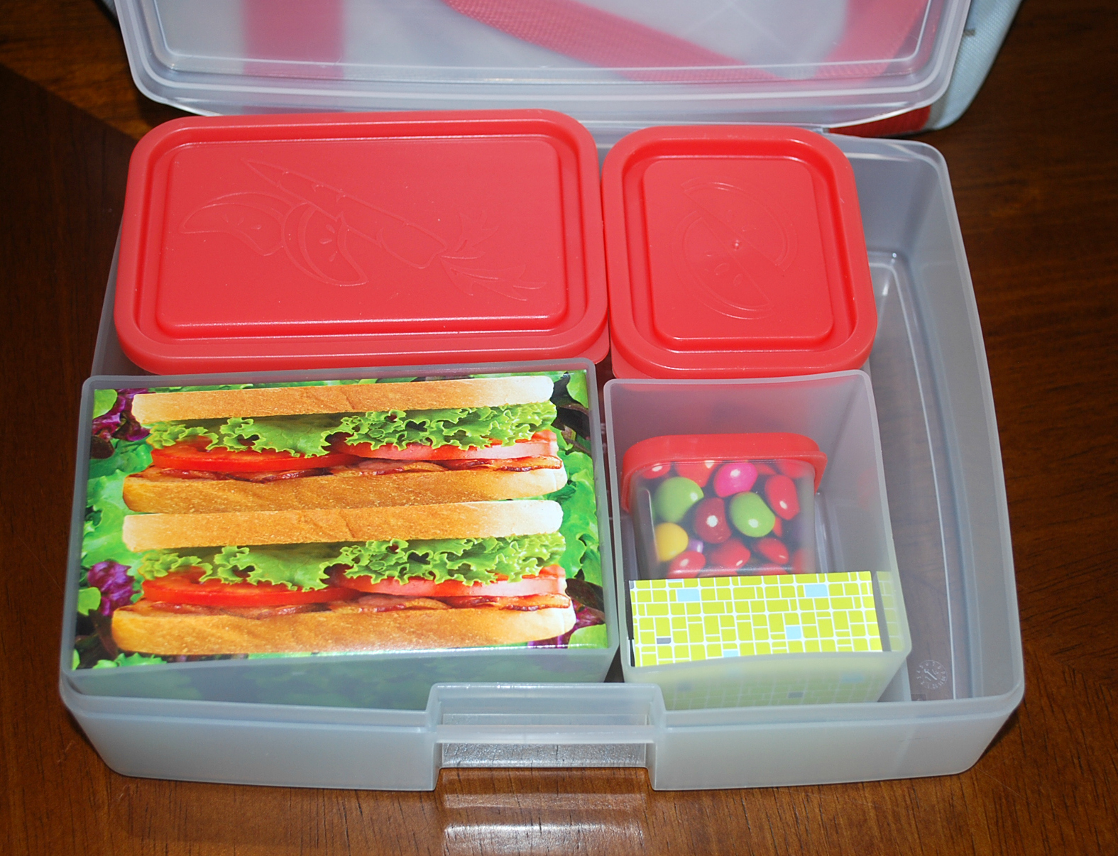 adult bento lunchbox