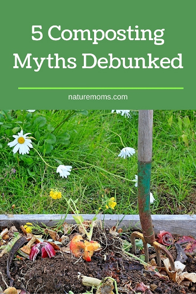 5 Composting Myths Debunked