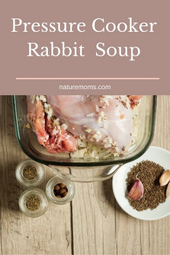 Instant Pot Rabbit Soup