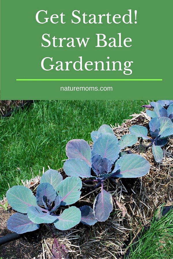 Straw Bale Gardening Instructions