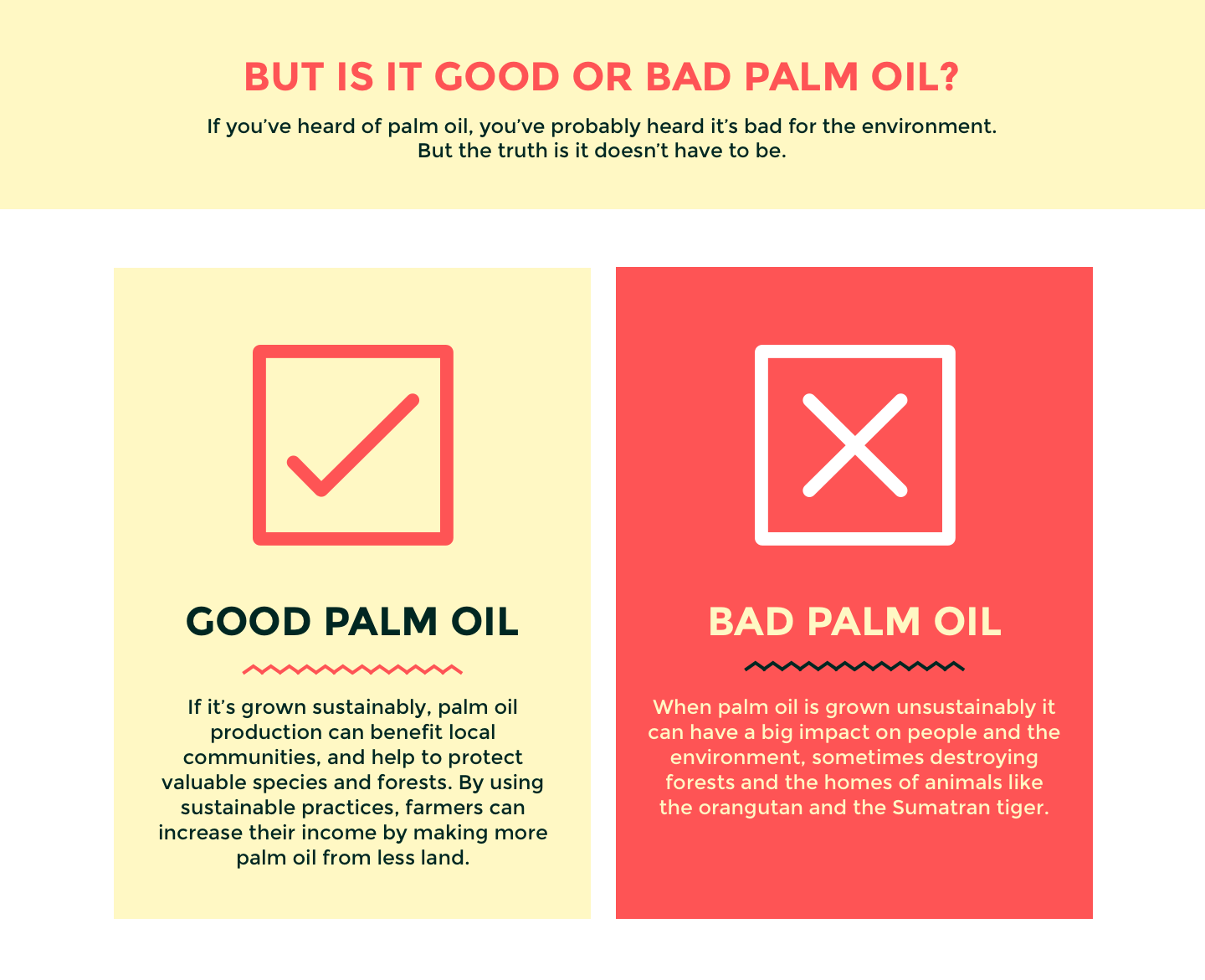 good or bad palm oil