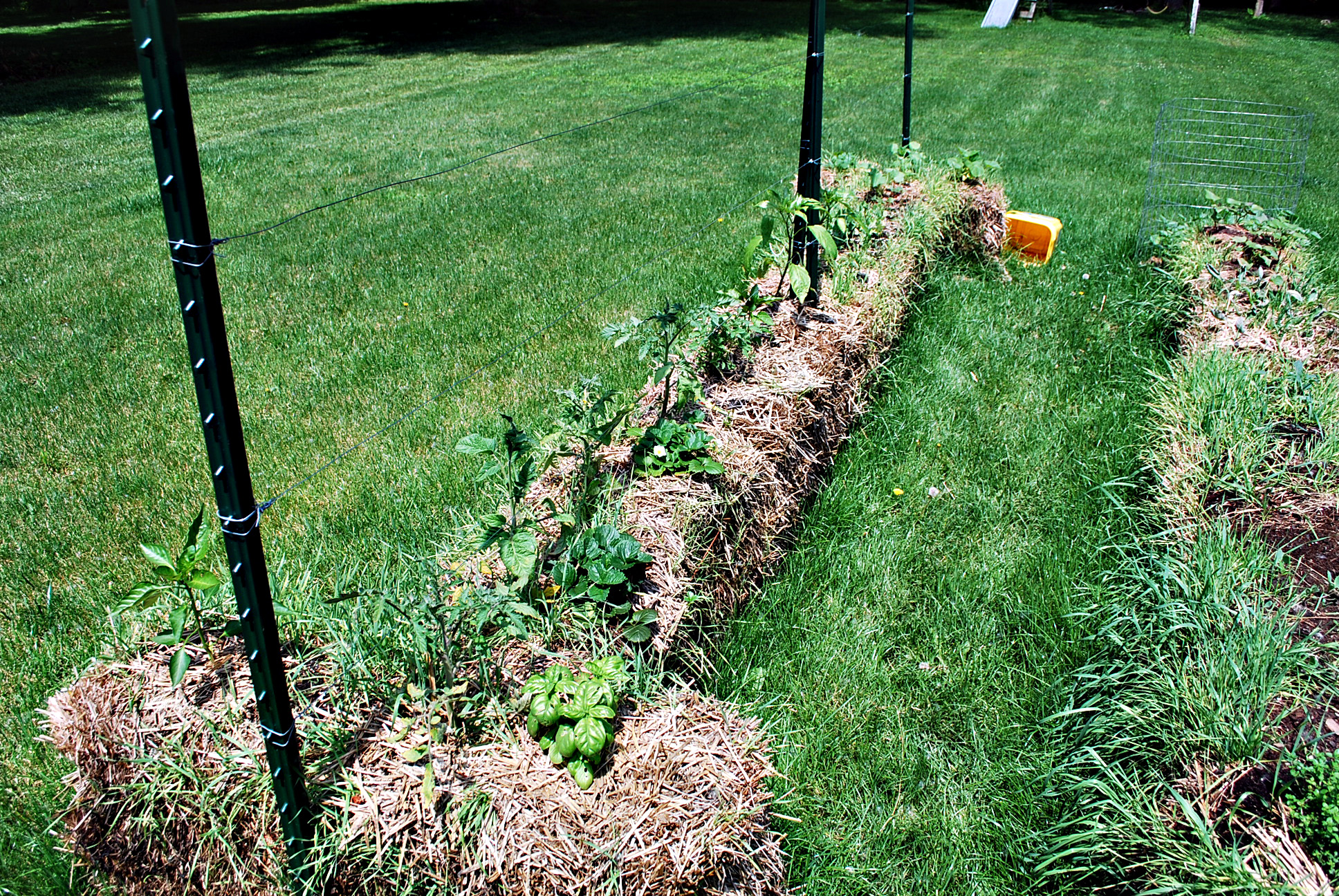 straw bale gardening