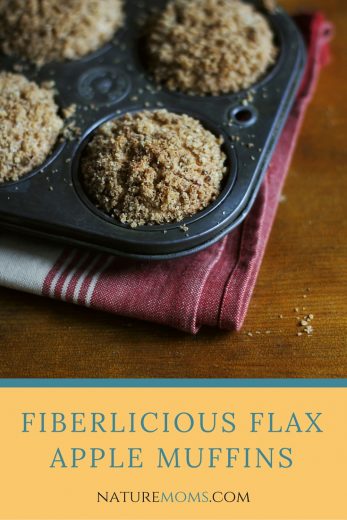 Fiberlicious Muffins With Apple and Flax