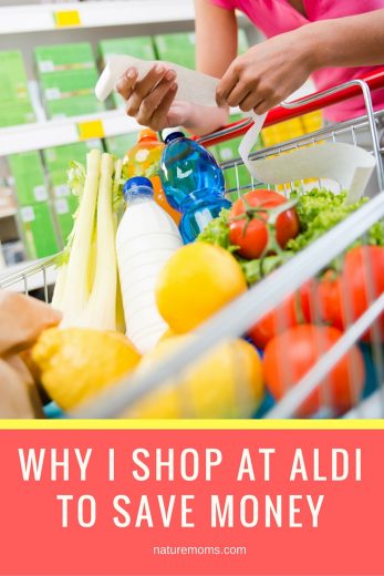 Why I Shop at Aldi To Save Money