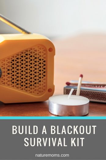 Build A Blackout Survival Kit