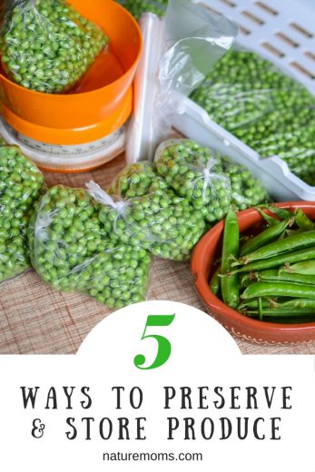 5 Ways To Preserve and Store Produce