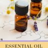 Essential Oil Groups Guide