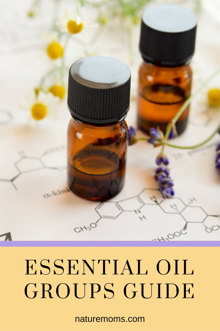 Essential Oil Groups Guide