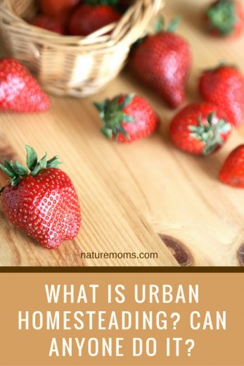 What is Urban Homesteading? Can Anyone Do It?