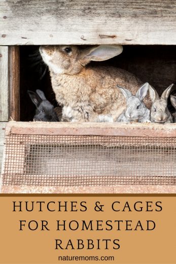 Hutches and Cages for Homestead Rabbits