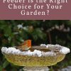 What Kind of Bird Feeder is the Right  Choice for Your Garden?