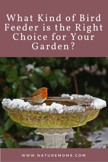 What Kind of Bird Feeder is the Right  Choice for Your Garden?