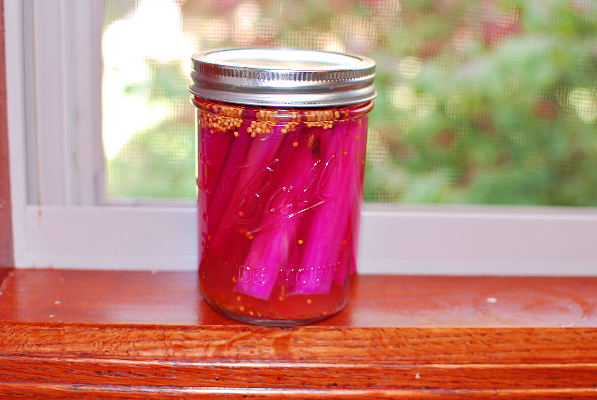 pickled-chard-stems