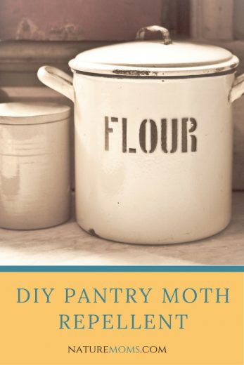 DIY Pantry Moth Repellent