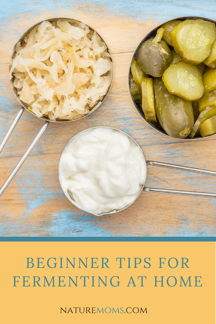 Beginner Tips for Fermenting