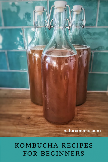 Kombucha Recipes for Beginners