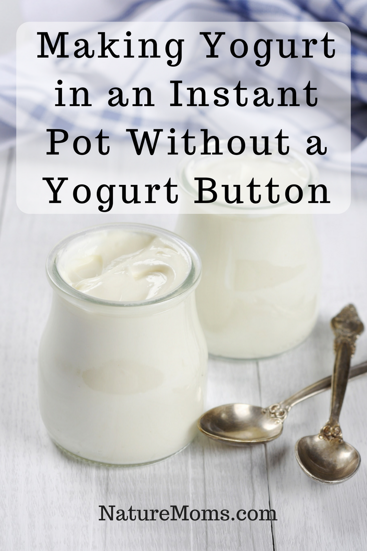 making yogurt in a lux instant pot