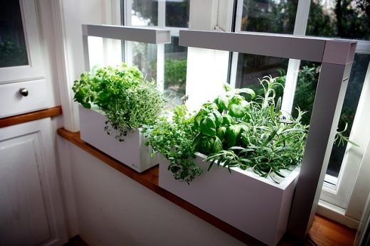 Tips on Creating An Indoor Herb Garden and Its Benefits