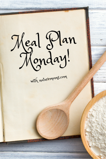 Meal Plan Monday – French Onion Theme