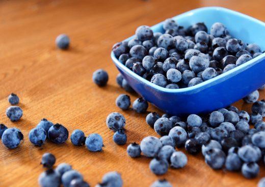 Best Tips for Growing Blueberries