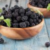 Growing Your Own Blackberries