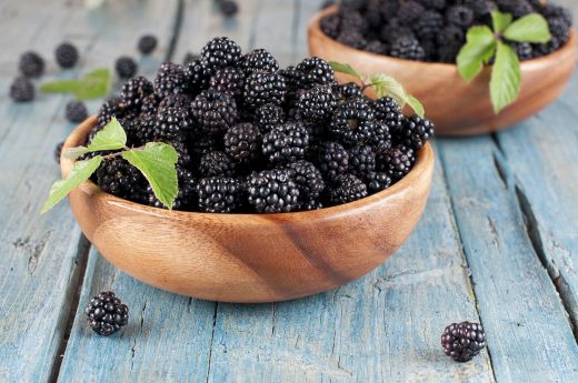 Growing Your Own Blackberries