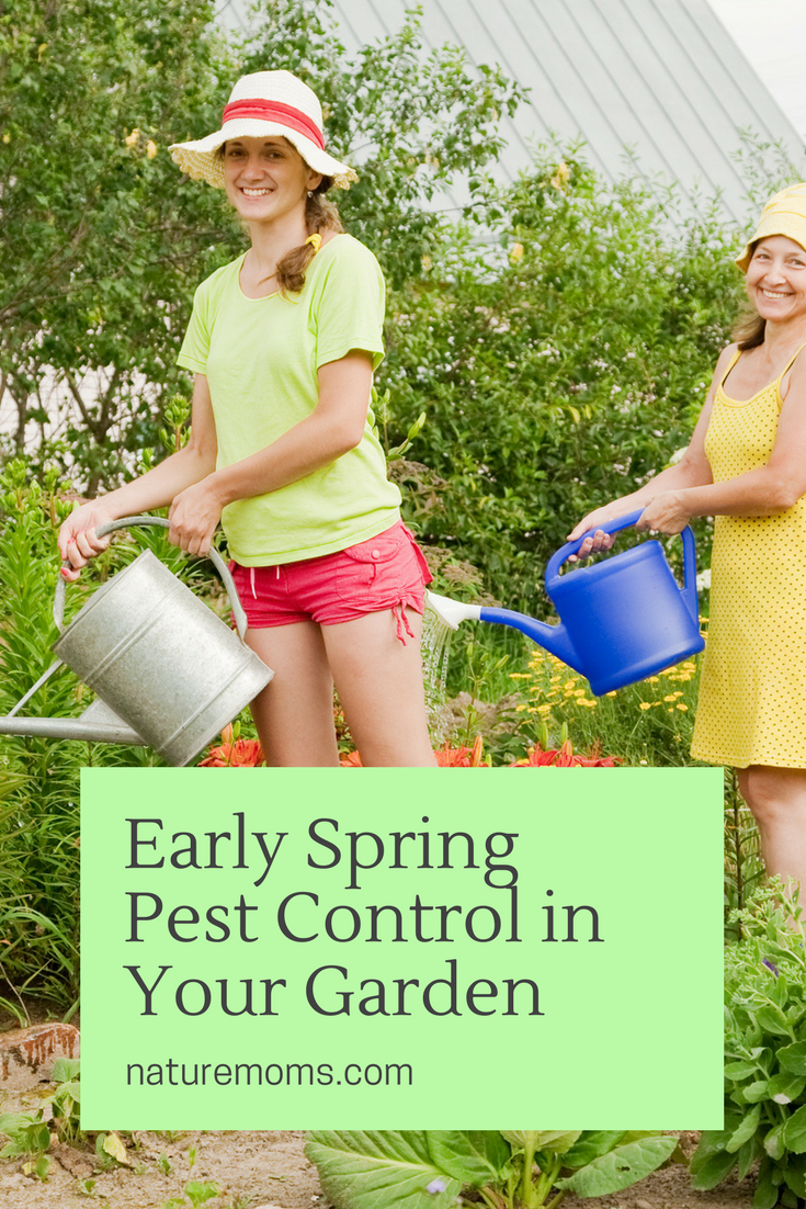 Early Spring Pest Control 