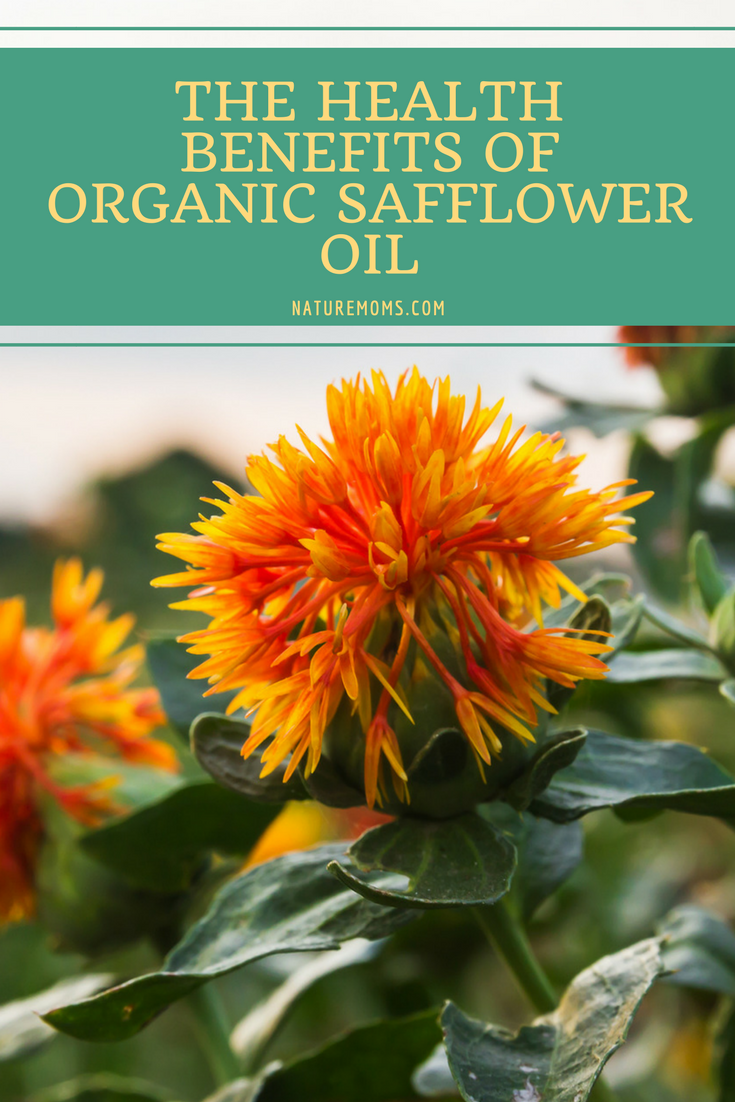 The Health Benefits Of Organic Safflower Oil,Corian Countertops Vs Granite