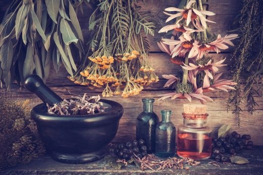 online herbalism course