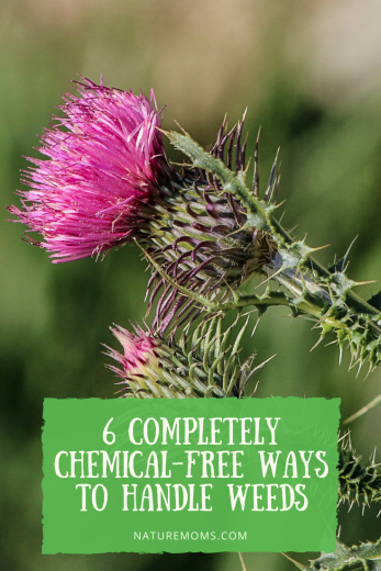 Chemical Free Weed Control
