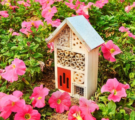 Bug Hotel for Pollinators