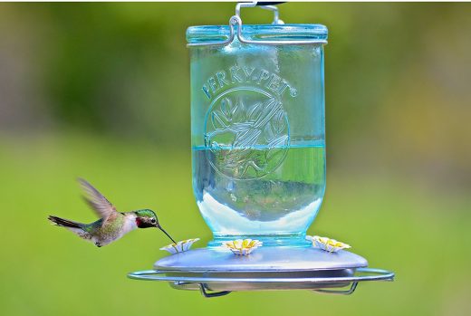 Hummingbird Feeder