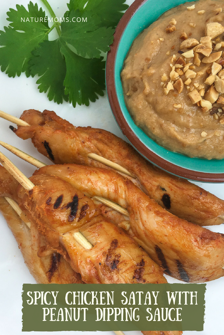 Spicy Chicken Satay