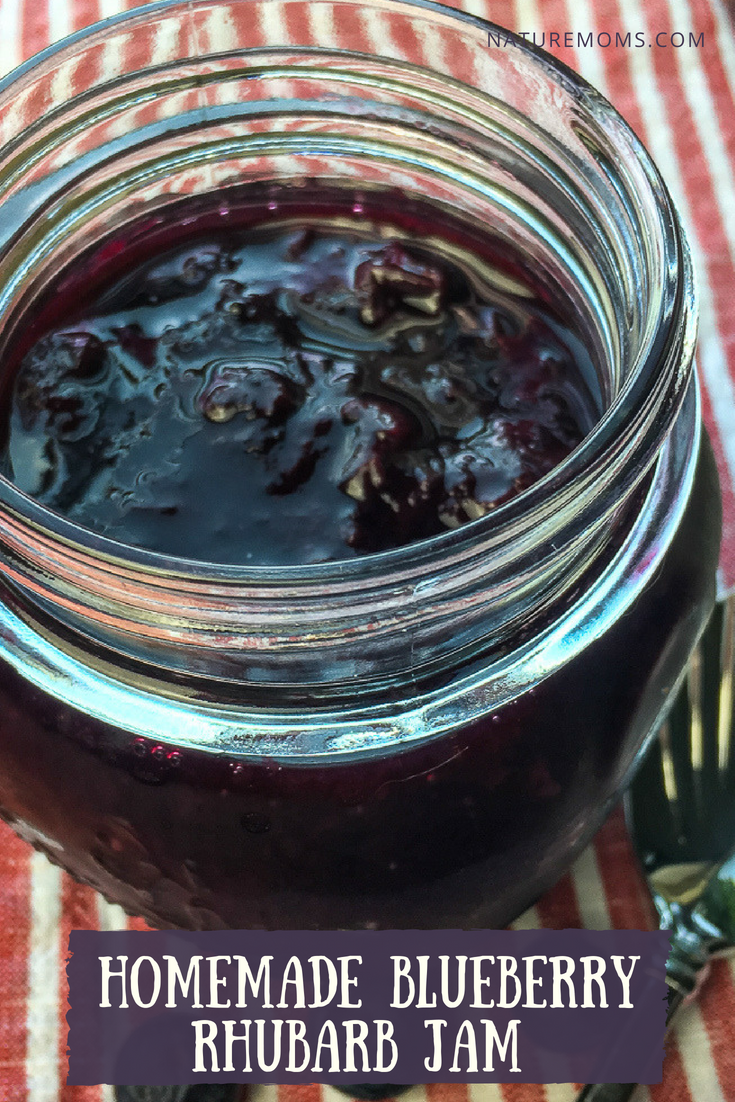 Blueberry Rhubarb Jam 