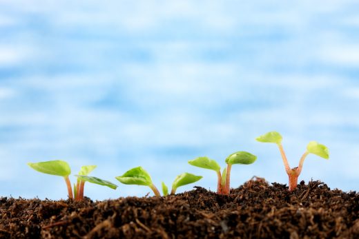 Using Weeds to Stop Erosion