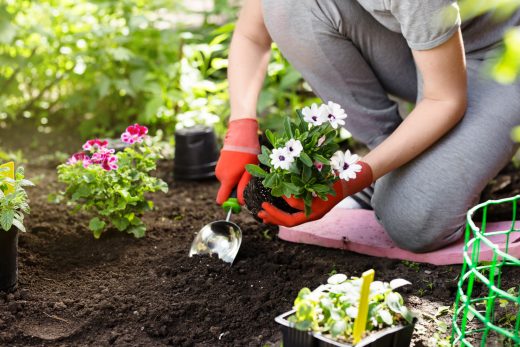 The Complete List of the Best Gardening Gifts for Mom