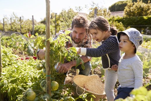 4 Sustainable Gardening Tips For Your Home