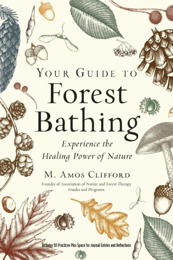 Your Guide to Forest Bathing: Experience the Healing Power of Nature