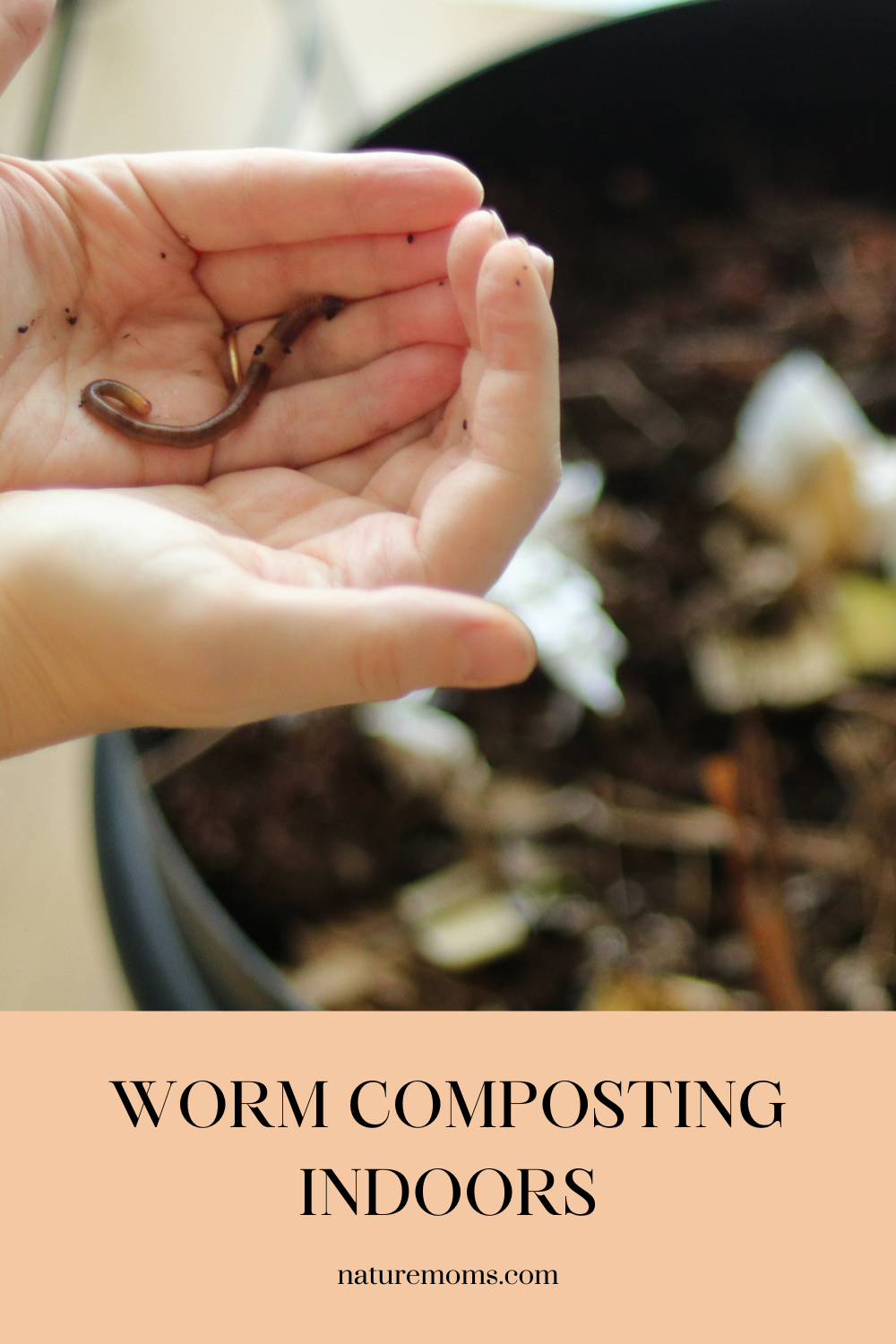 Worm Factory For Indoor Composting - Nature Moms