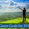 Green Goals for 2013