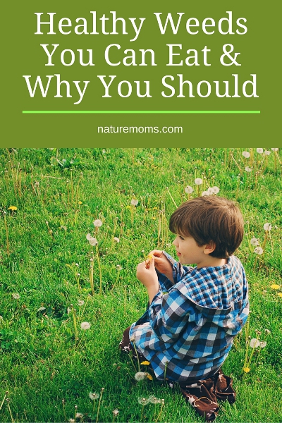 Healthy Weeds You Can Eat & Why You Should - Nature Moms