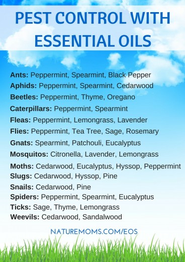 Garden Pest Control With Essential Oils