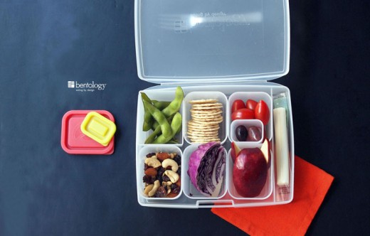 Bento Lunch Boxes for Adults