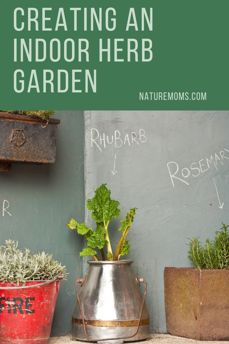 Tips on Creating An Indoor Herb Garden and Its Benefits
