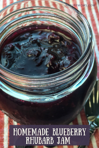 Homemade Blueberry Rhubarb Jam