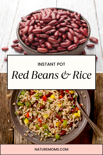 Instant Pot Red Beans and Rice - Nature Moms